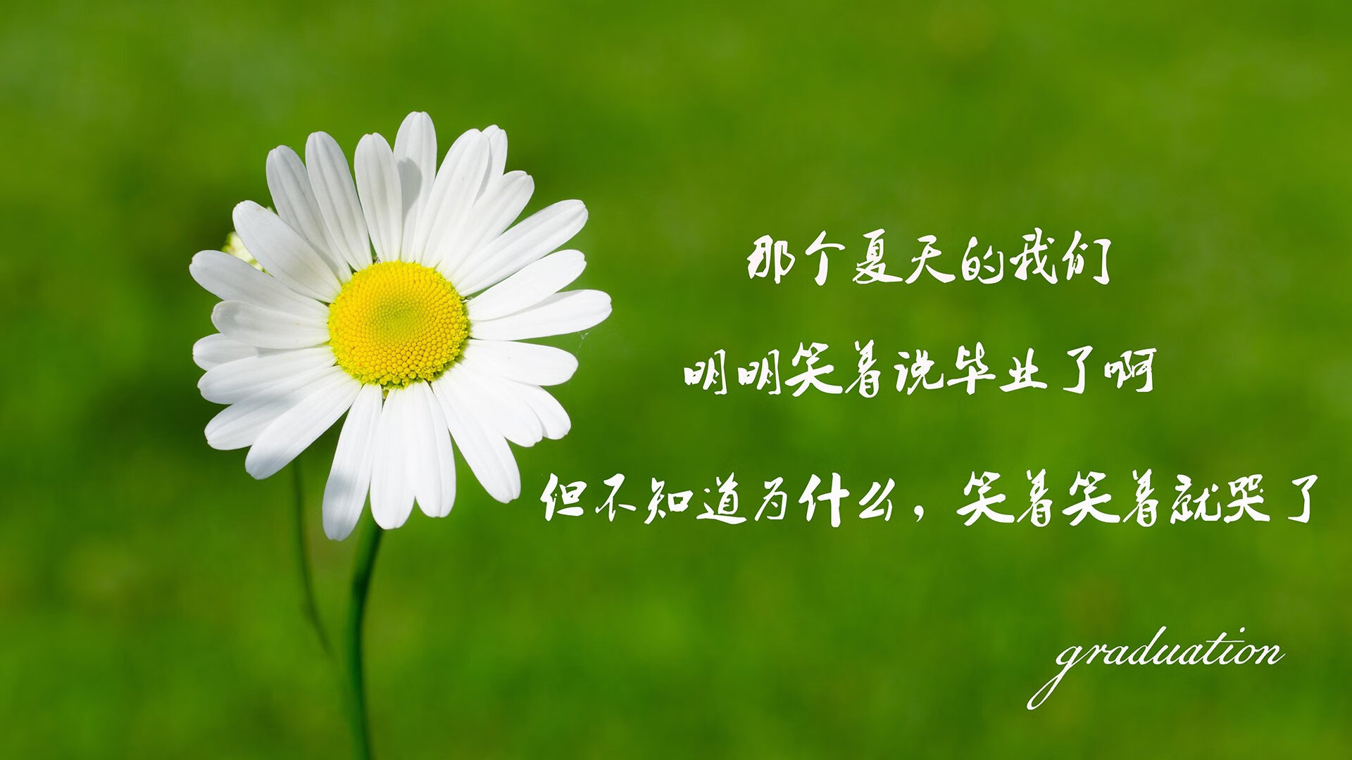 kaiyun网站-未来联盟：虚拟实境、沉浸式观赛开启新娱乐时代！，英雄联盟未来科技图案是什么