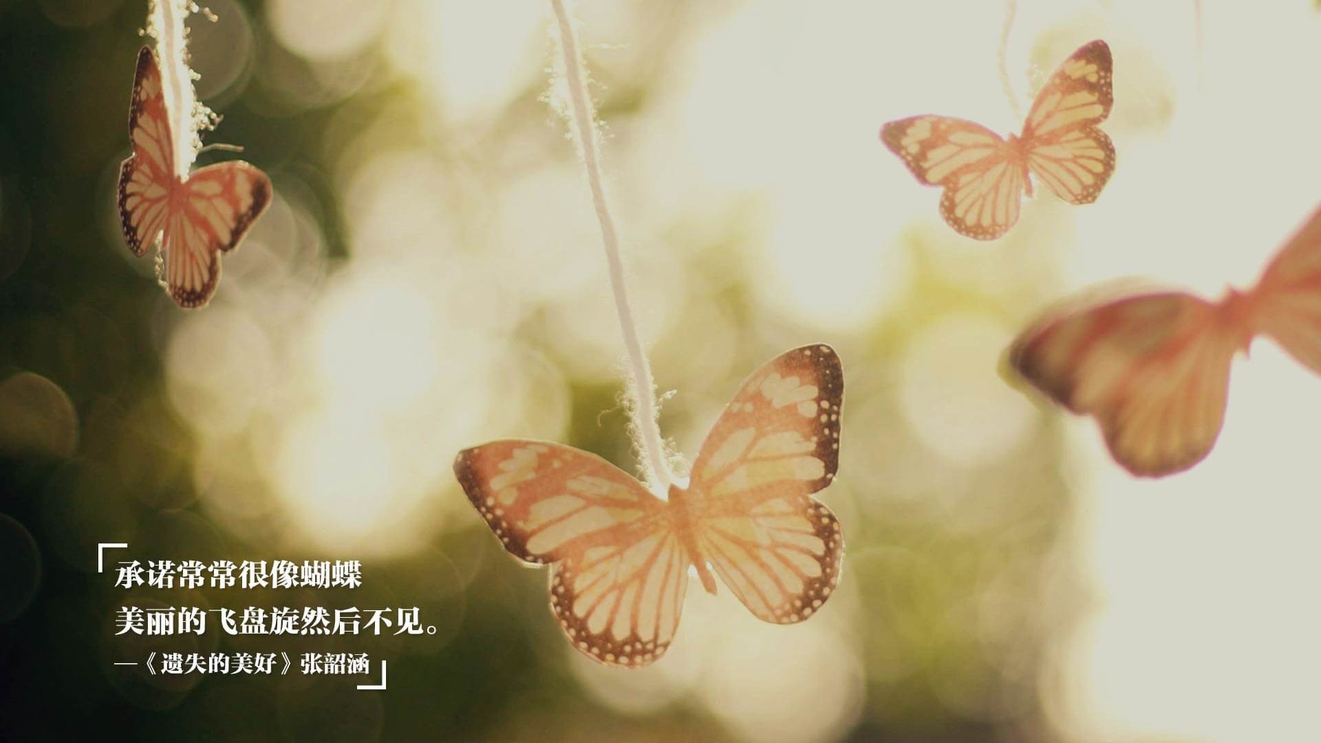 青少年“篮动青春—未来之星”全国巡讲在陕西启动，激发青少年追梦热情
