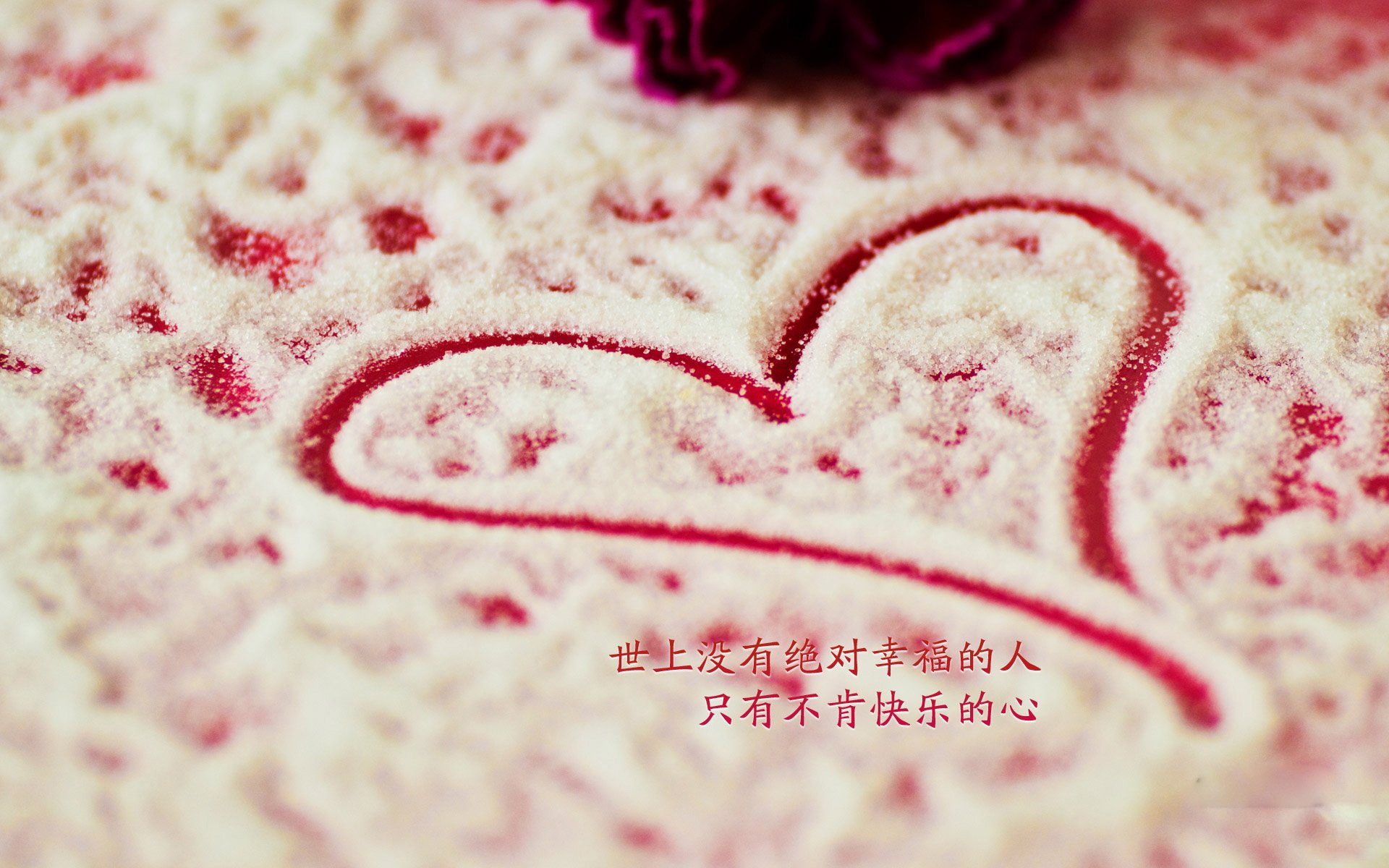 开云·Kaiyun网页版-帕德博恩球队在比赛中展现出坚韧不拔的精神，取得胜利，帕德博恩在德国位置