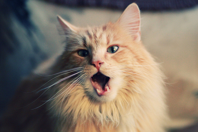 开云官网-新闻中心发布财务业绩报告，新闻中心发布财务业绩报告怎么写