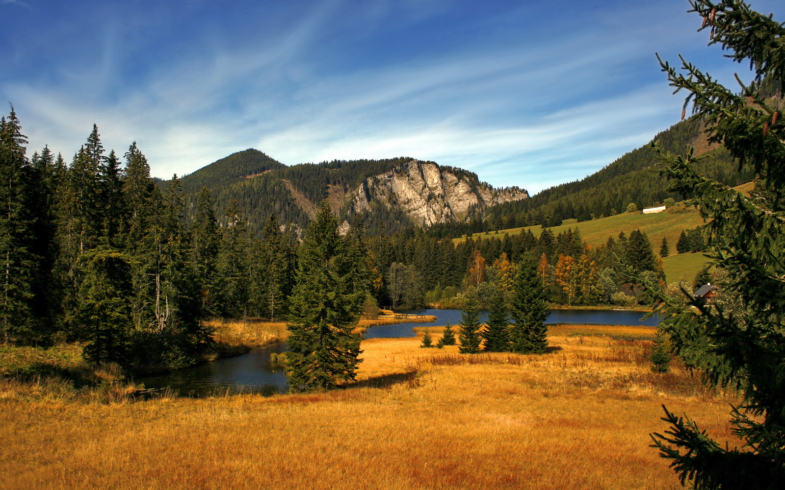 体育新闻中心启动体育内容多渠道品牌传播计划，体育新闻标题大全100条