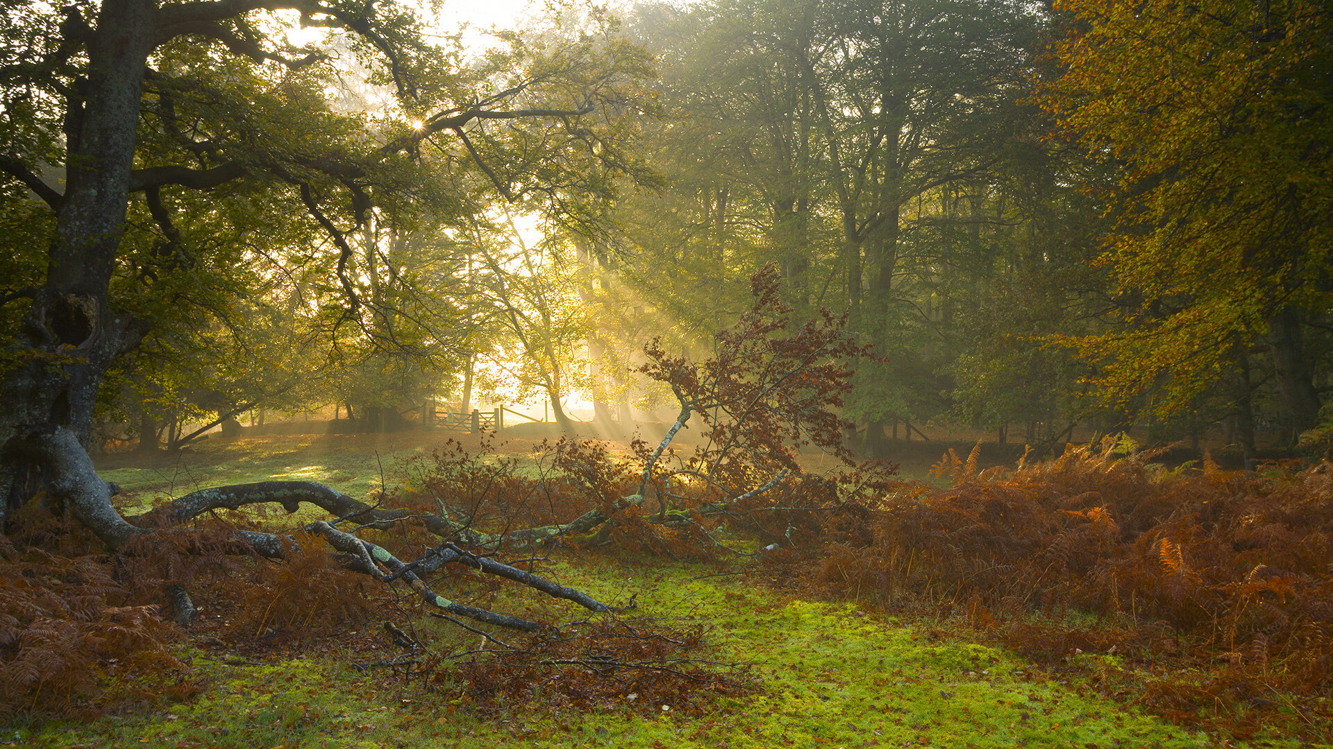 kaiyun中国官方网站-以足球运动为载体的全民健身工程持续推进，普及率提升，以足球运动为主题的绘画